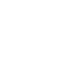 The Fast Mode